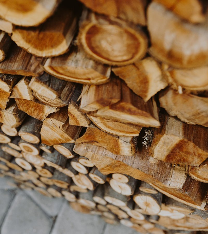 Welche Brennholz-Art ist die richtige?