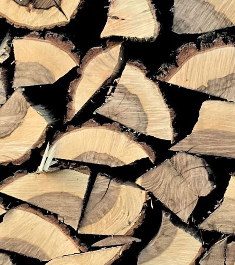 Wie erkennt man trockenes Holz ohne Gerät? Tipps für alle, die mit Brennholz heizen