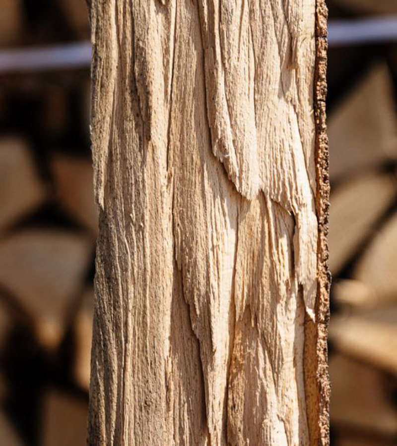 Wie viel Brennholz benötigen Sie tatsächlich für den Winter?