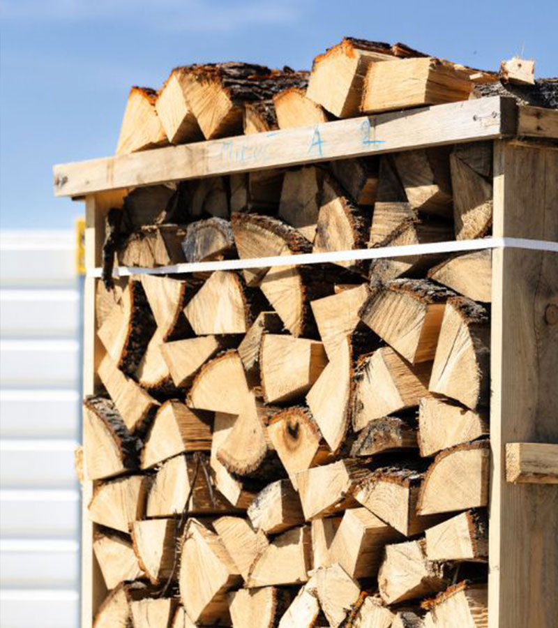 Brennholz im Frühling kaufen – frühes Bestellen lohnt sich